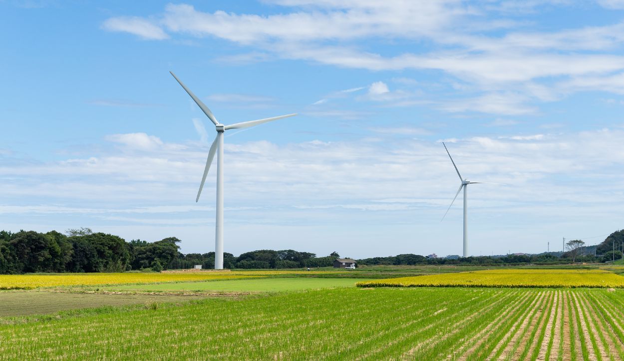 Two utility-scale, horizontal-axis wind turbines